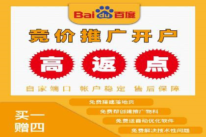 解析SEM推广代运营公司的成功案例及效果